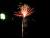 Silvestr 07 055